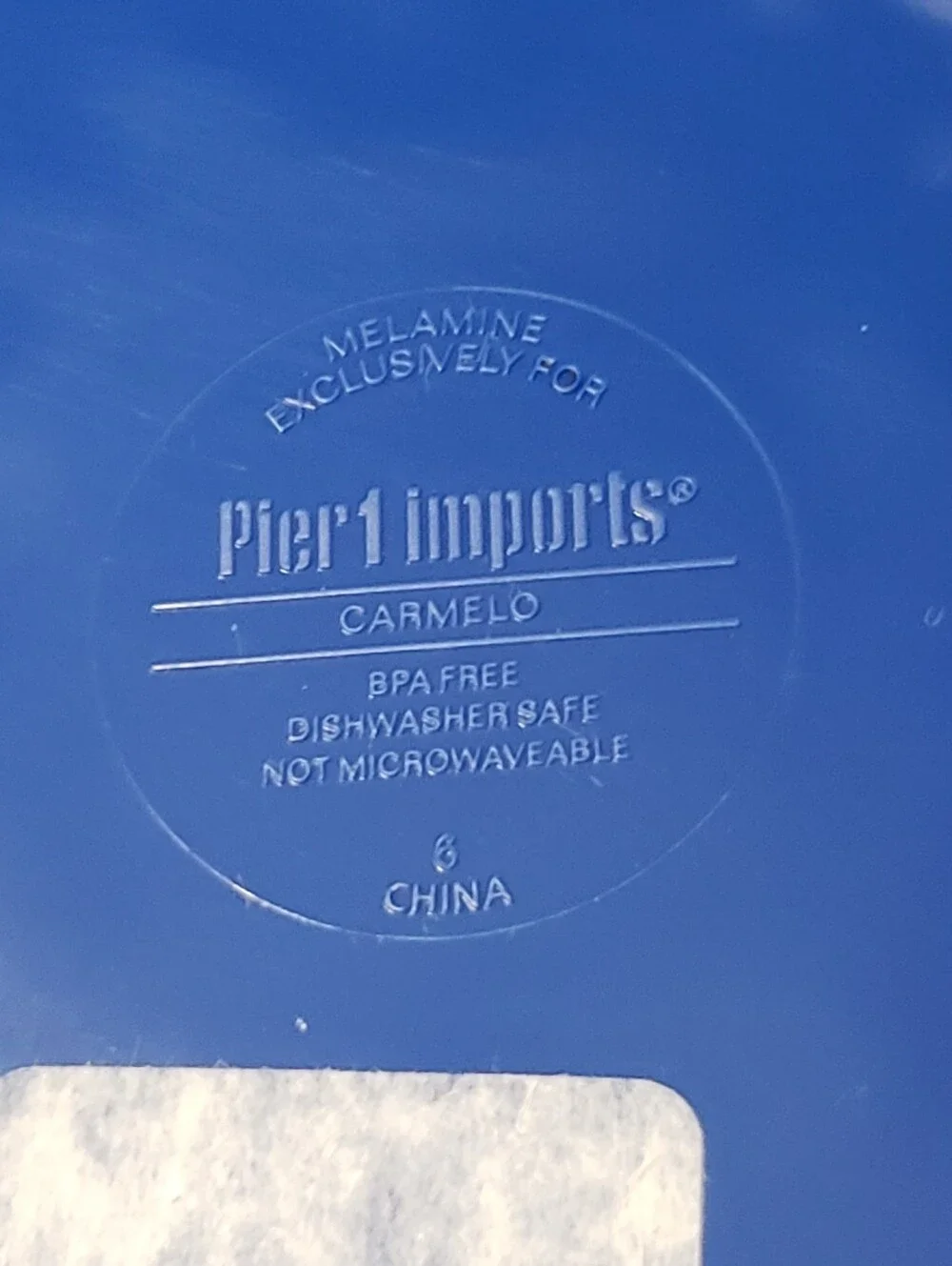 Set Of 2 PIER 1 IMPORTS *Carmelo* Dinner Plates